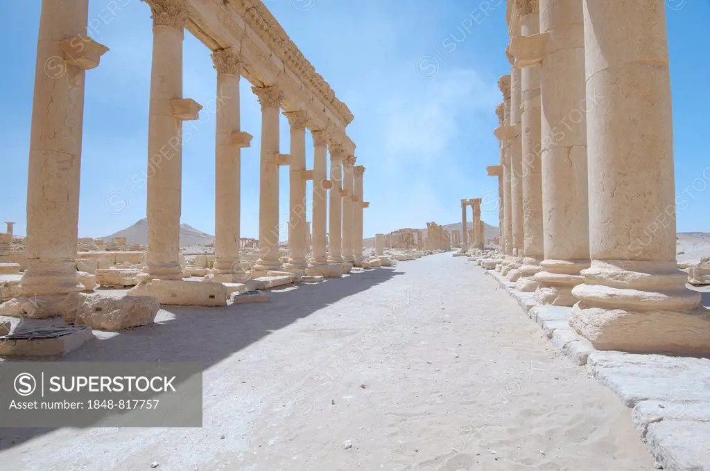 Ruins of the ancient city of Palmyra, Palmyra District, Homs Governorate, Syria