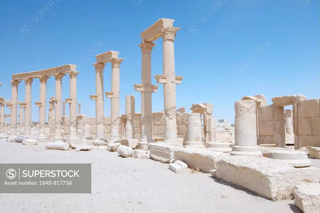 Ruins of the ancient city of Palmyra, Palmyra District, Homs Governorate, Syria