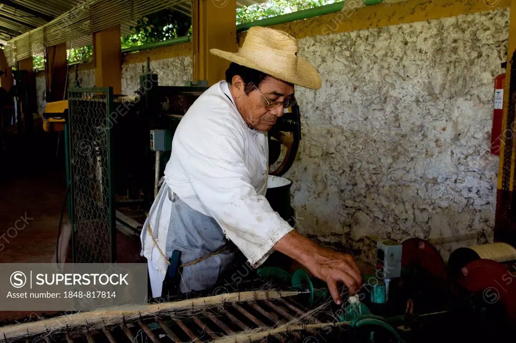 Sisal worker at the Hacienda de Sotuta de Peon, Mérida, Yucatán, Mexico