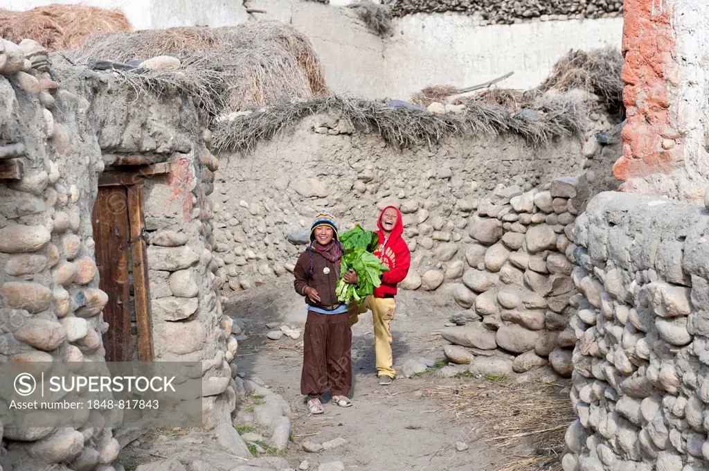 Cheerful children in a village between old walls, ethnic group of Lopa, Charang, Lo or Mustang, Nepal
