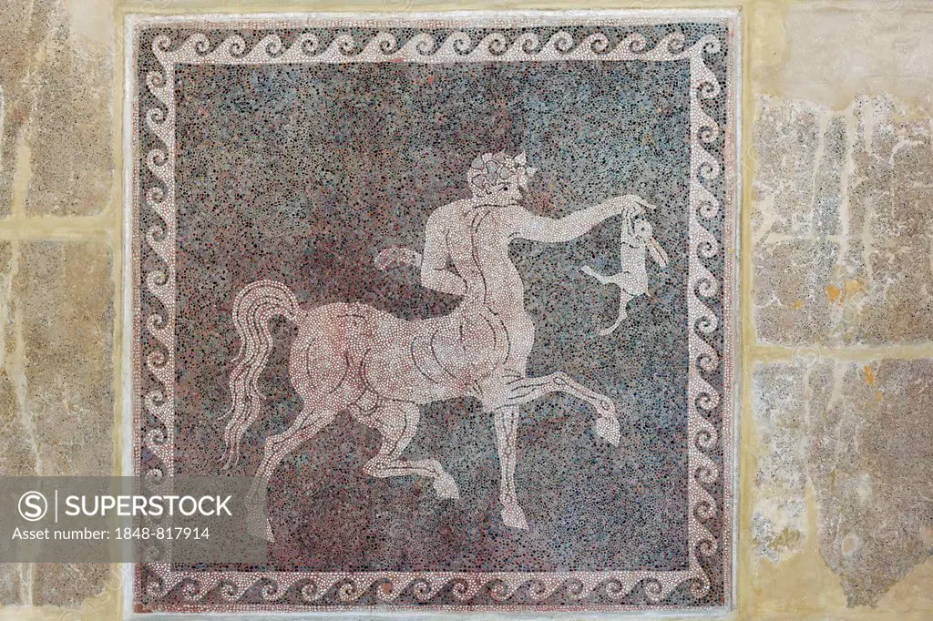 Centaur holding a slain rabbit, floor mosaic made of pebbles, Chochlaki, Archaeological Museum, historic town centre, Rhodes, Island of Rhodes, Dodeca...