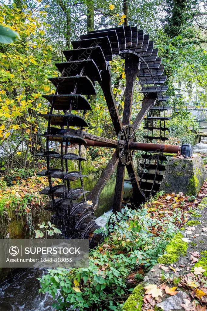 Historic water wheel of the former fulling mill on the Lahn River, Limburg an der Lahn, Hesse, Germany