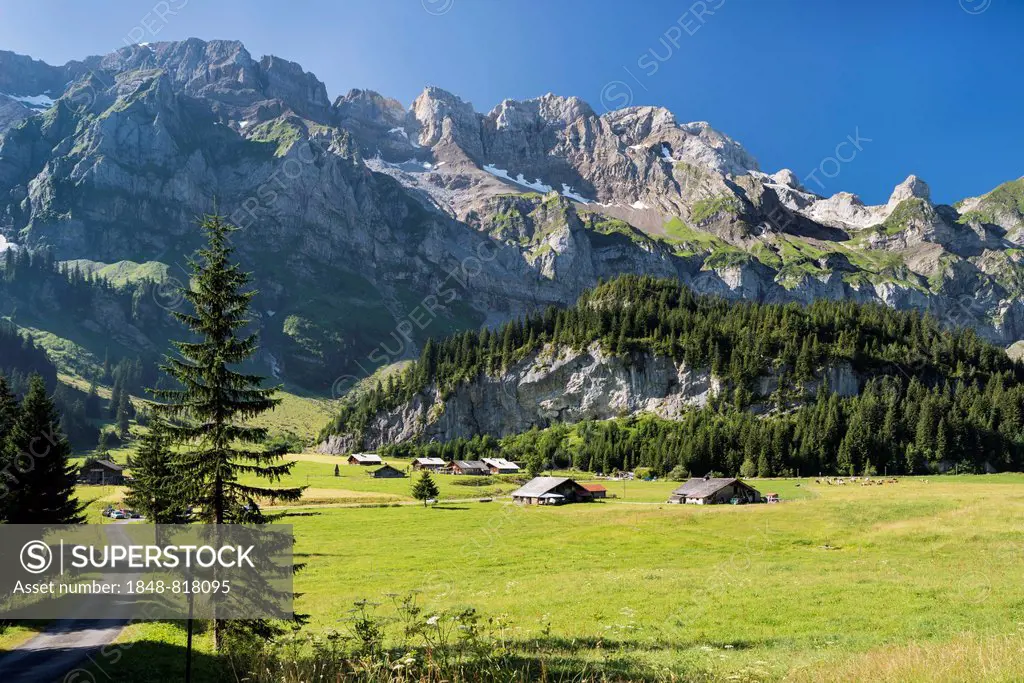 Sunny alpine pasture in Val d'Illiez valley, Champéry, Canton of Valais, Switzerland