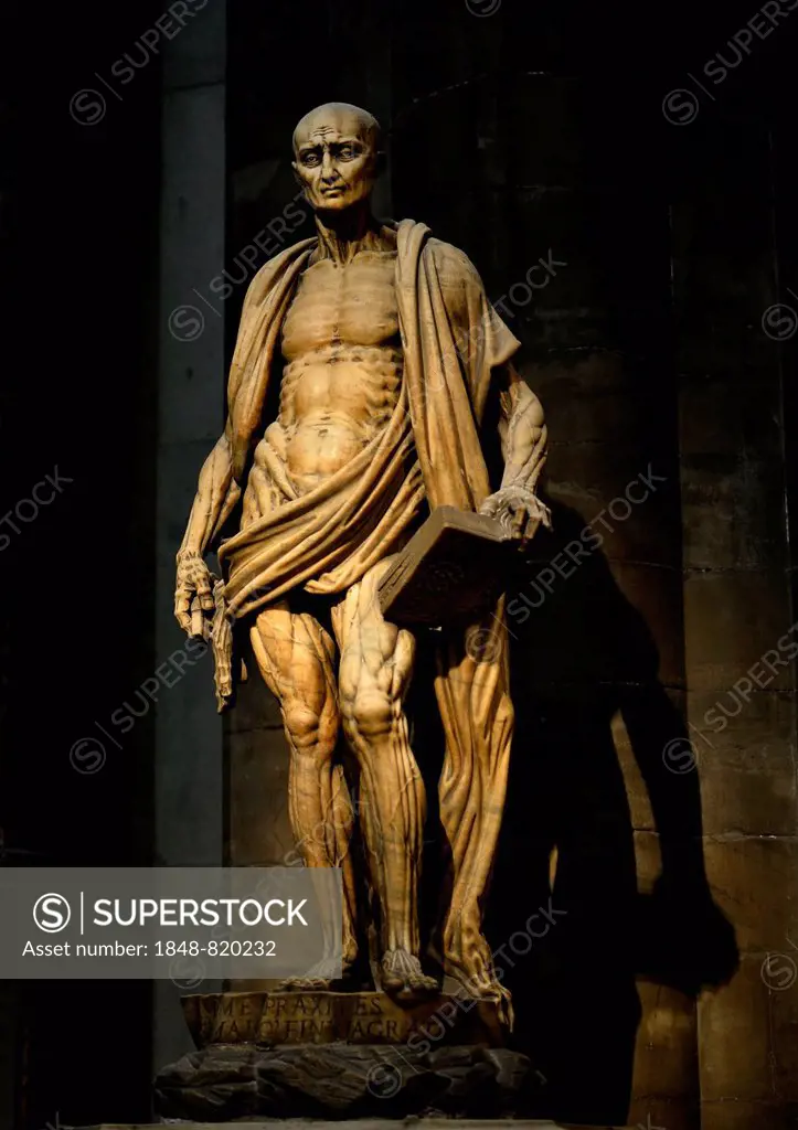 Statue of the skinned St. Bartholomew from 1562, interior, Milan Cathedral, Milan, Lombardy, Italy