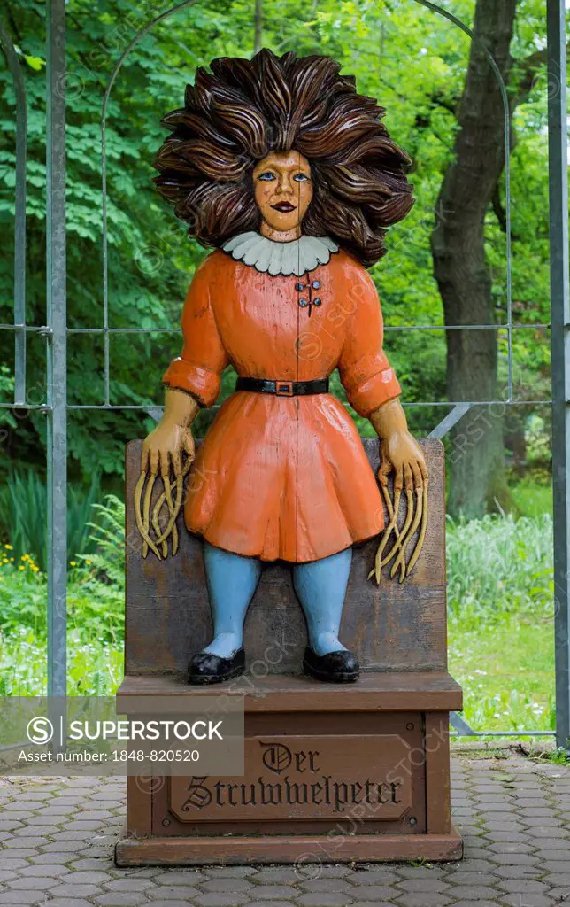 Title character from the Struwwelpeter children's book by Heinrich Hoffmann, carved in wood by Guenther Gerke, Struwwelpeter Park, Tabarz, Thuringia, ...