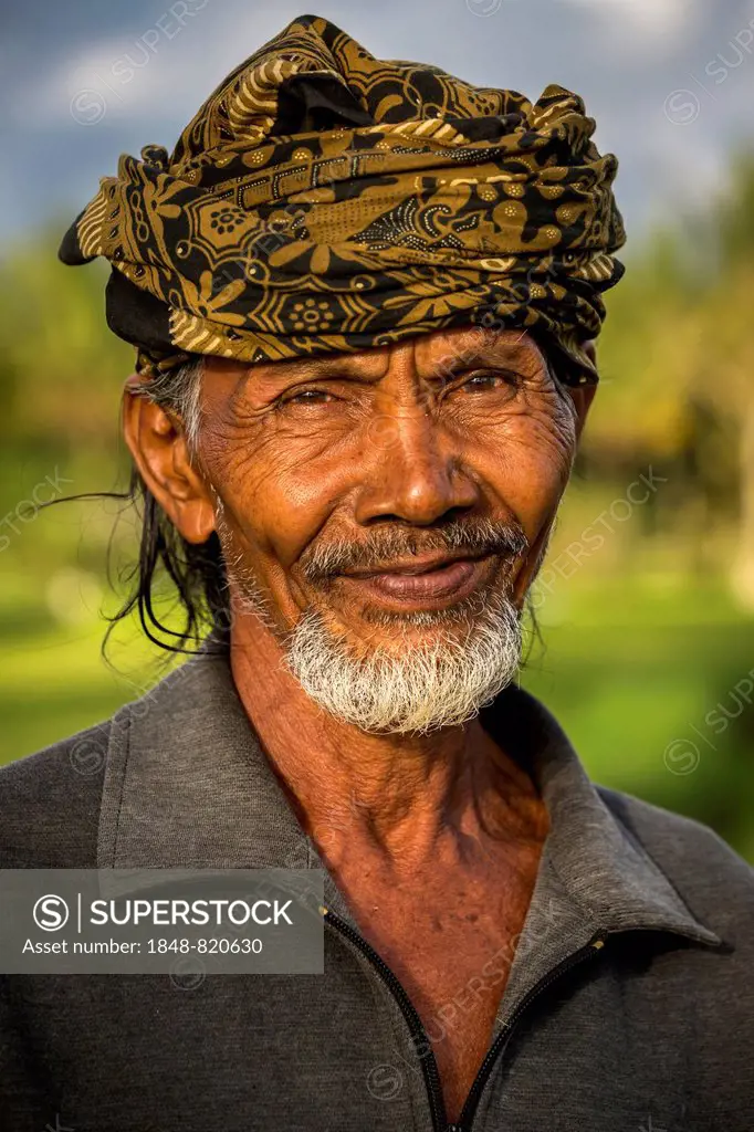 Elderly rice farmer wearing a head scarf, Ubud district, Bali, Indonesia