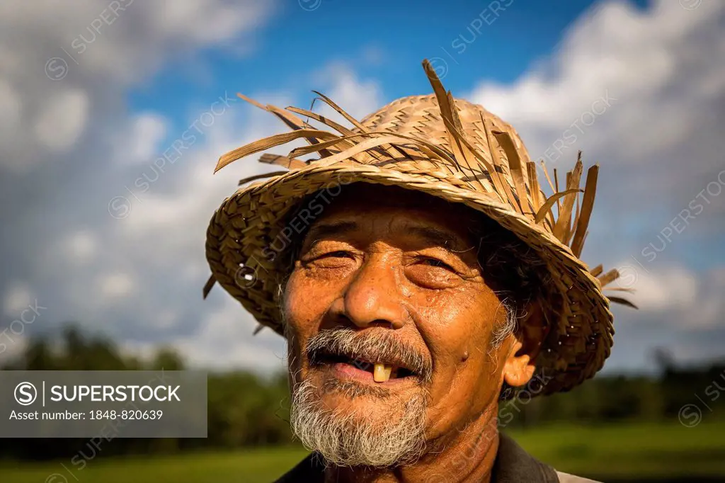 Elderly rice farmer wearing a straw hat, Ubud district, Bali, Indonesia