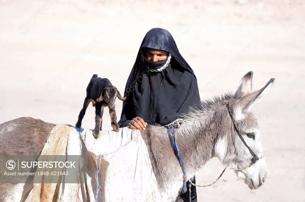 Bedouin woman with a goatling standing on the back of a donkey, Hurghada, Egypt