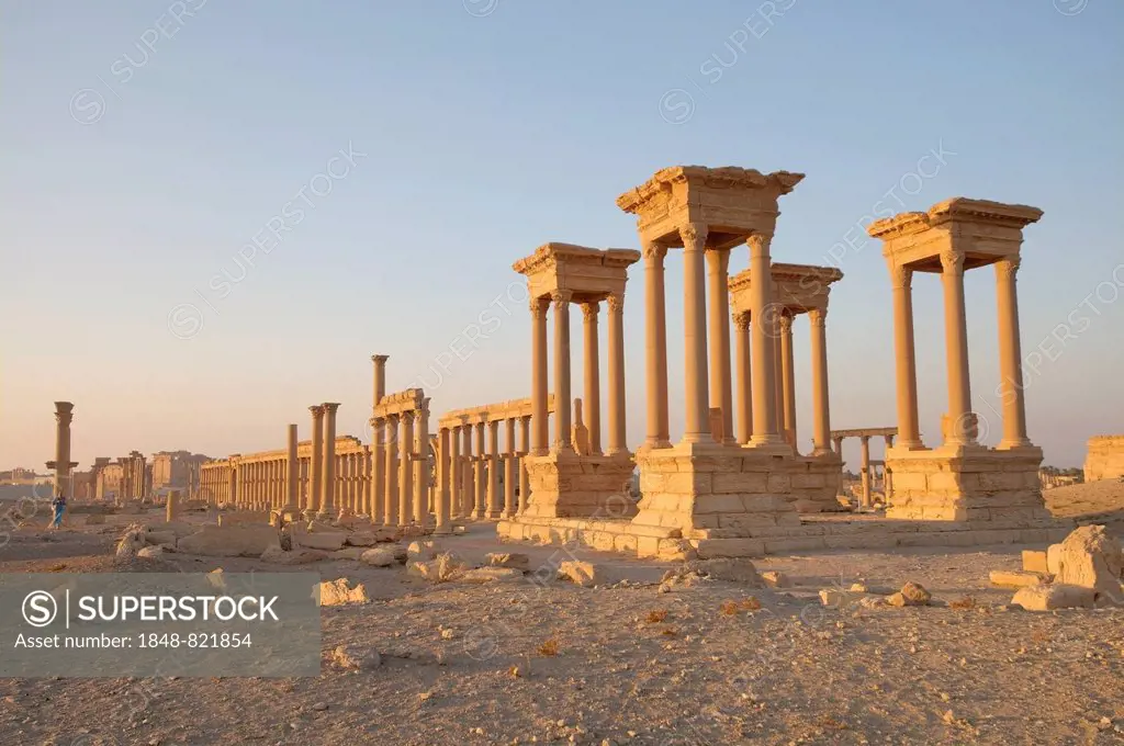 Ruins of the ancient city of Palmyra in the morning light, Palmyra District, Homs Governorate, Syria