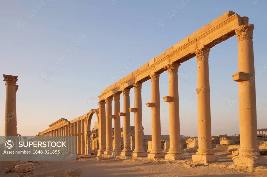 Ruins of the ancient city of Palmyra in the morning light, Palmyra District, Homs Governorate, Syria