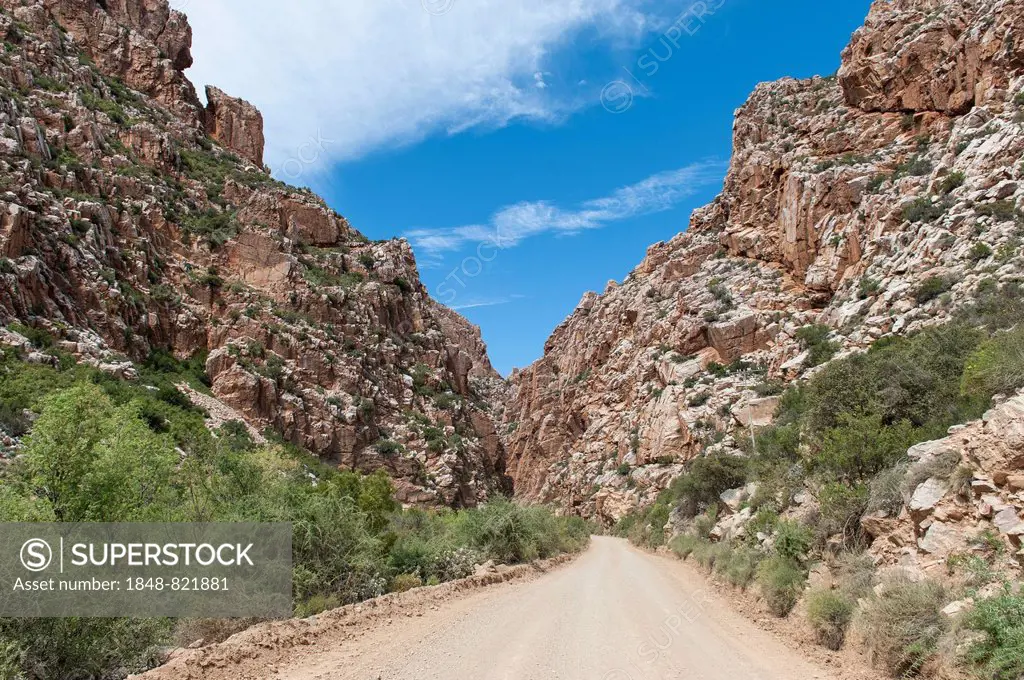 Road to the Swartberg mountain pass, Western Cape, South Africa