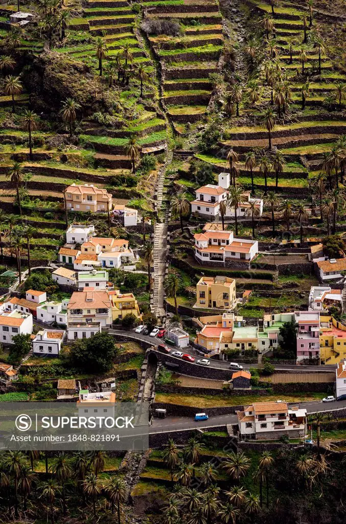 Houses in the valley, Lomo del Moral, La Gomera, Canary Islands, Spain
