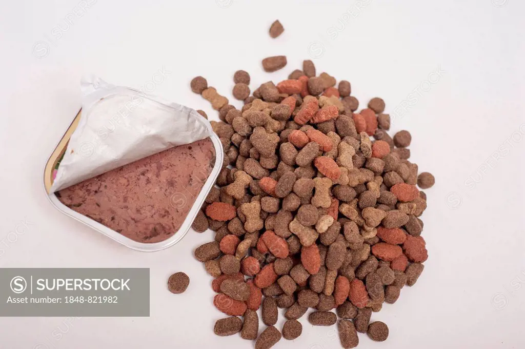 Dog food, wet food and dry food