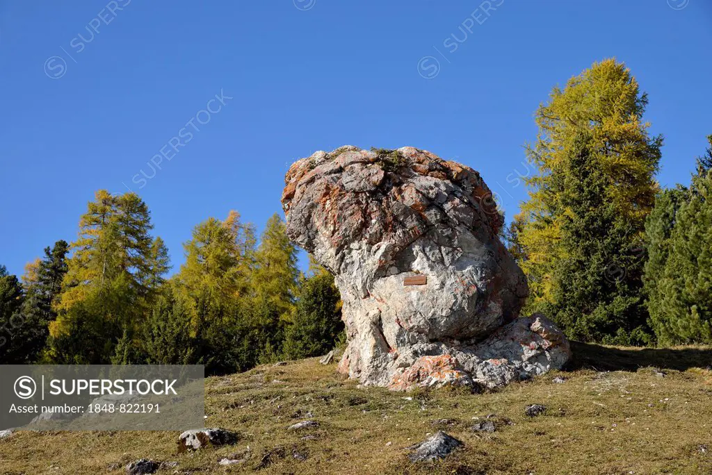 Menhir of S-chanf, Lower Engadine, Canton of Grisons, Switzerland, Europe