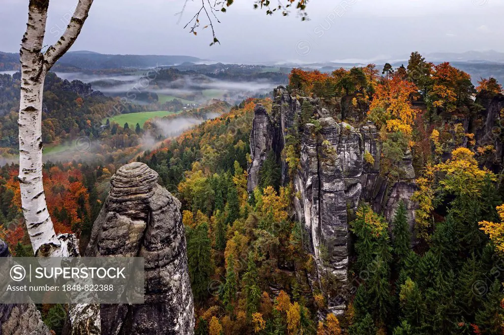 View from Ferdinandstein over the autumnal Bastei, Saxon Switzerland National Park, Saxony, Germany