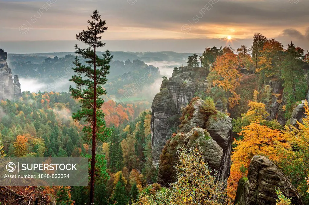 View from the Bastei in fall at dawn, Saxon Switzerland National Park, Saxony, Germany