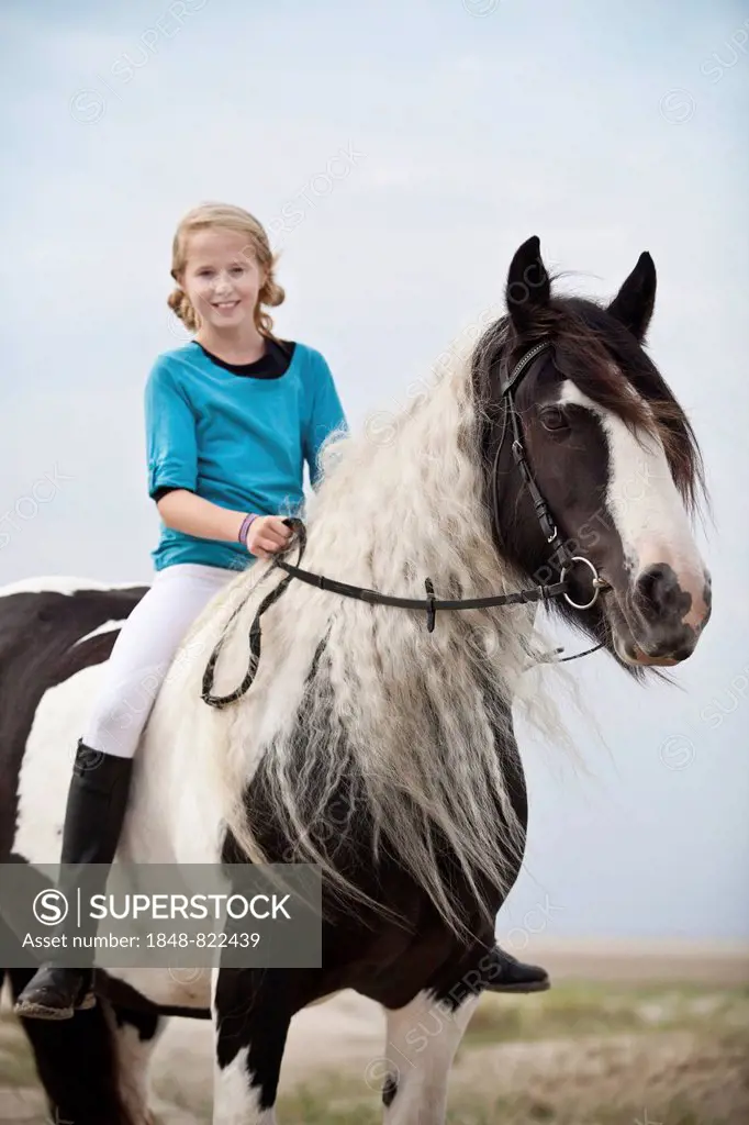 Young horserider riding bareback on a mare, pony, Tinker, black and white chequered, in the dunes at the beach, Borkum, Lower Saxony, Germany