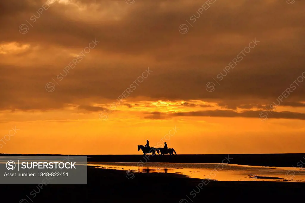 Horseriders at sunset on the beach of Borkum, Lower Saxony, Germany