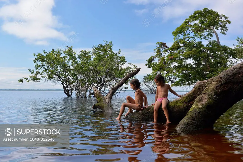 Girl sitting on a tree trunk of a giant rainforest tree on the banks of the Amazon and Rio Solimões, Mamirauá Sustainable Development Reserve in Tefe,...