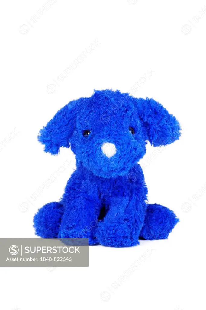 Blue dog, plush toy