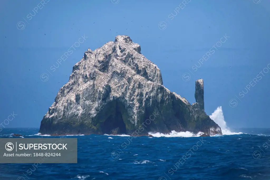 The Shag Rocks, group of islands in the South Atlantic Ocean, South Georgia and the South Sandwich Islands, United Kingdom