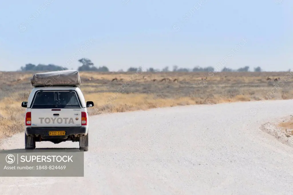 Toyota parking at the roadside, Etosha National Park, Namibia