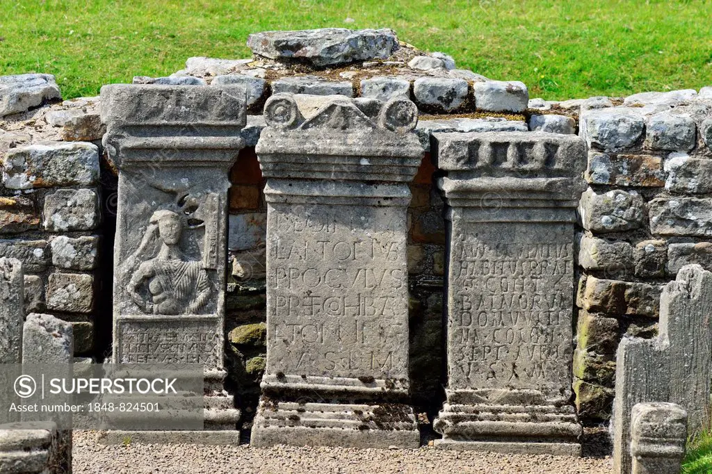 Temple of Mithras from the 3rd century, Hadrian's Wall, Carrawburgh, Northumberland, England, United Kingdom