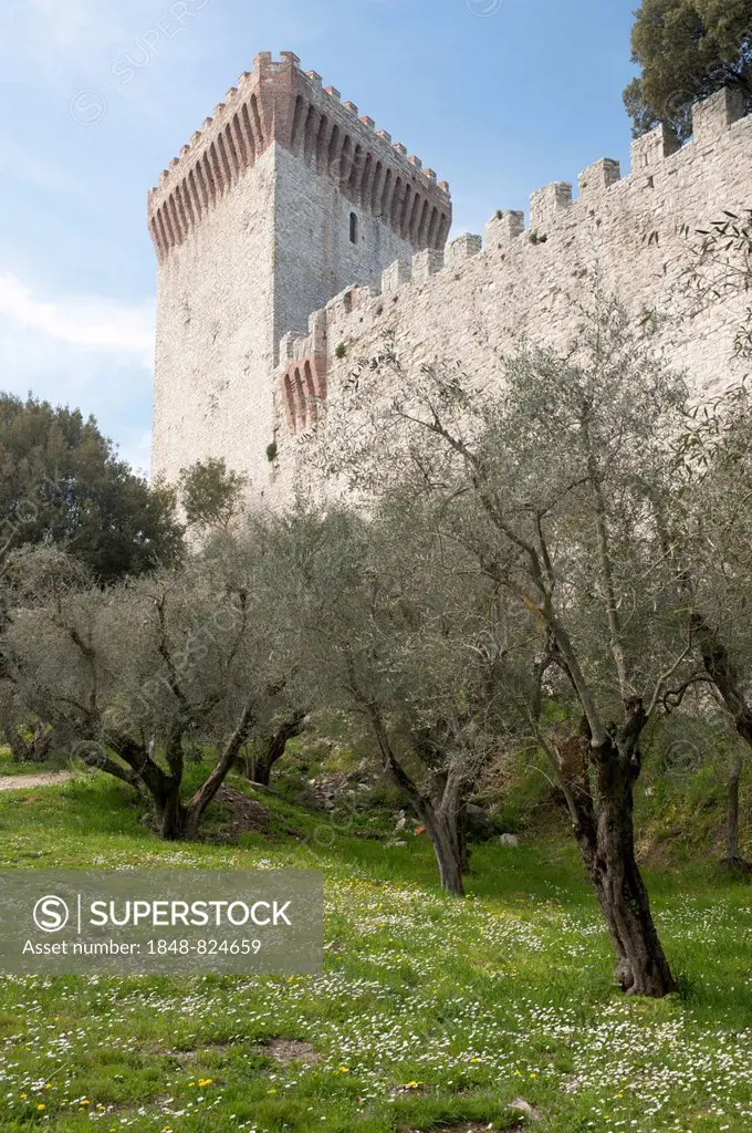 Fortress wall and tower, Castello del Leone, 1247, Castiglione del Lago, Umbria, Italy