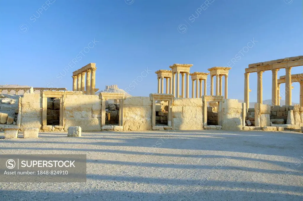 Ruins of the ancient city of Palmyra in the morning light, UNESCO World Heritage Site, Palmyra, Tadmur, Palmyra District, Homs Governorate, Syria
