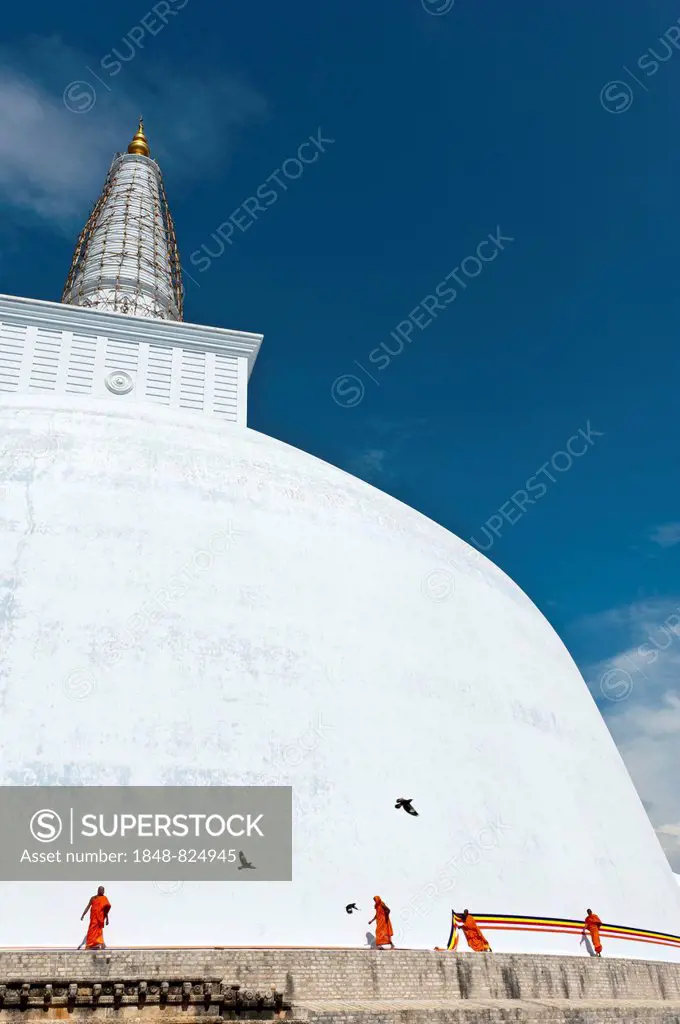 Monks tying a cloth around a large white stupa, Ruwanwelisaya Dagoba, Anuradhapura, Sri Lanka