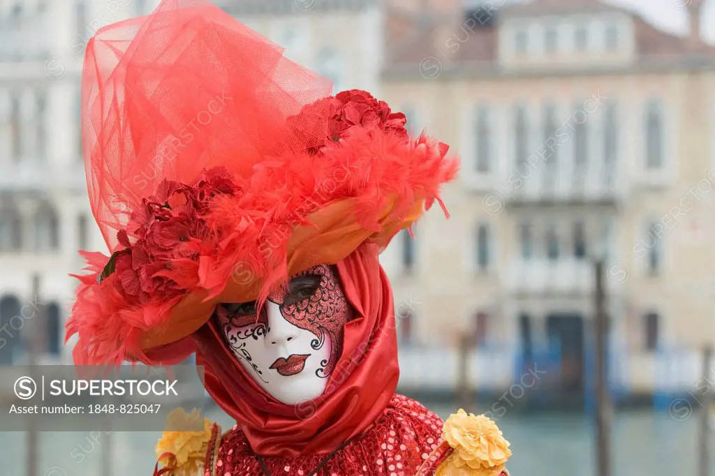 Venetian mask, costume at the carnival, Venice, Veneto, Italy