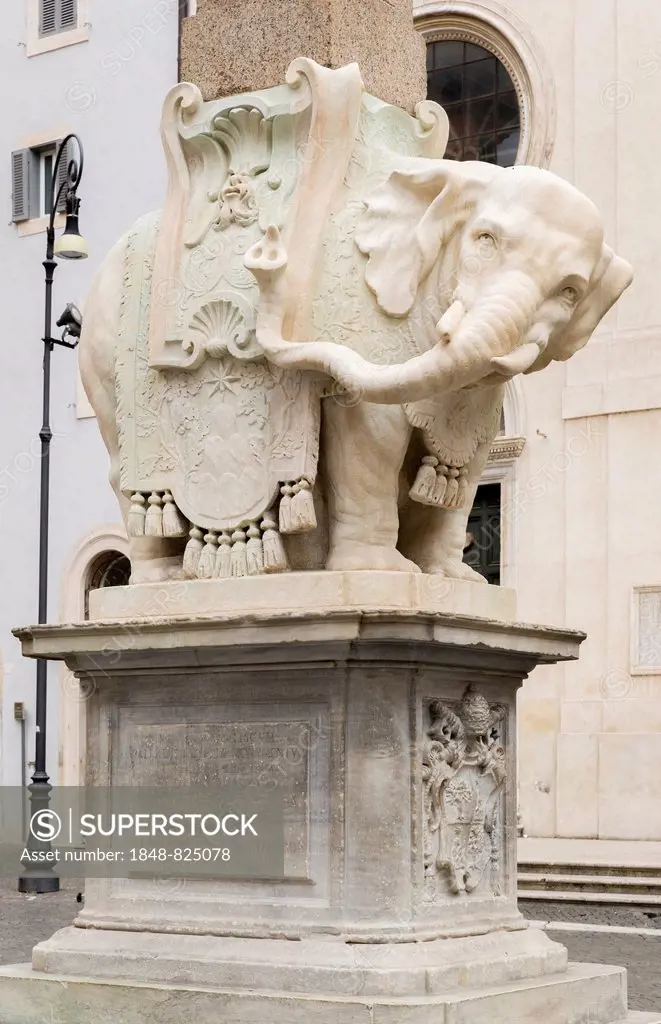 Pulcino della Minerva, Elephant and Obelisk, elephant statue at the base of the obelisk Obelisco della Minerva, Rome, Lazio, Italy
