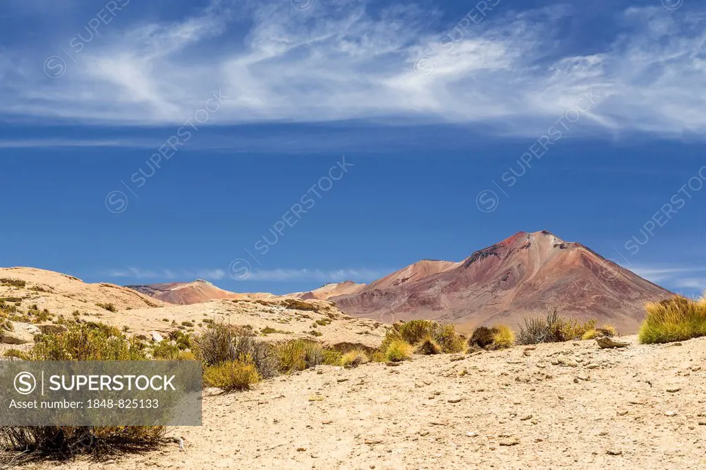 Landscape in the Altiplano, Andean Plateau, Andes, Bolivia