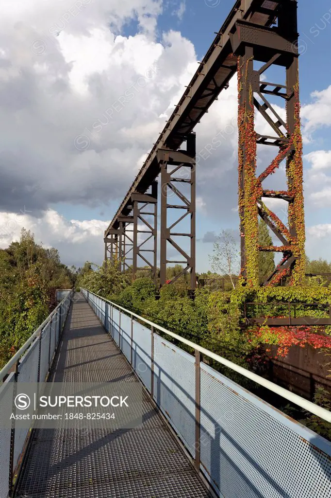 Skywalk and bridge at the former metallurgical plant, Duisburg-Nord Industrial Landscape Park, Duisburg, Ruhr Area, North Rhine-Westphalia, Germany
