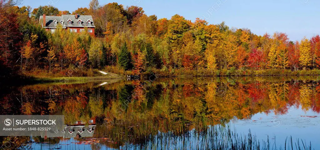 House on beaver pond amongst the trees in autumn, Eastern Townships, West Bolton, Quebec, Canada
