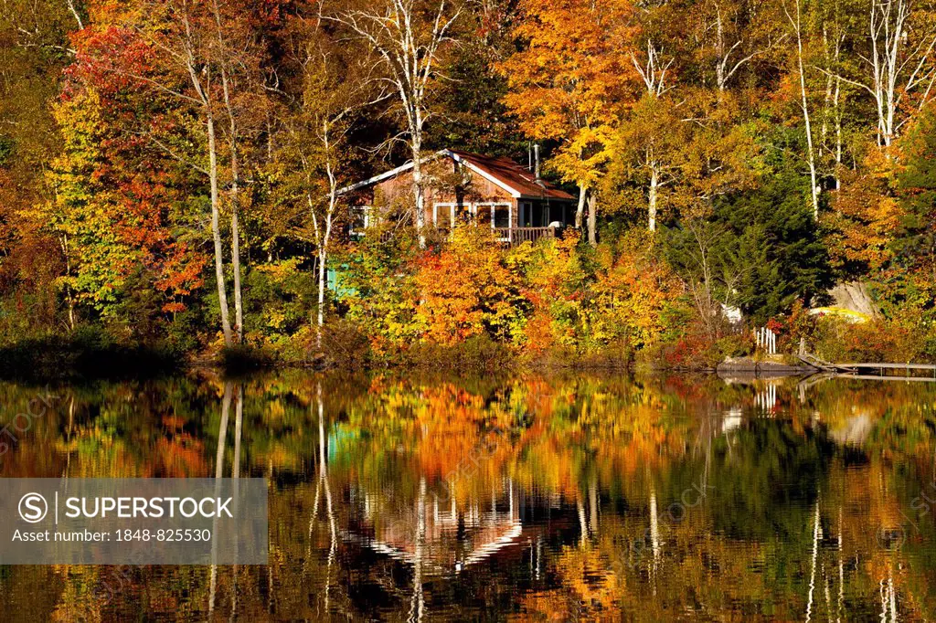 Cottage amongst the trees on Sugarloaf Pond in autumn, Eastern Townships, Potton, Quebec, Canada