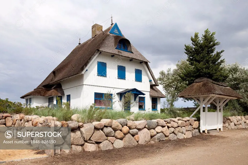 House with thatched roof, Graswarder, Heiligenhafen, Schleswig-Holstein, Germany