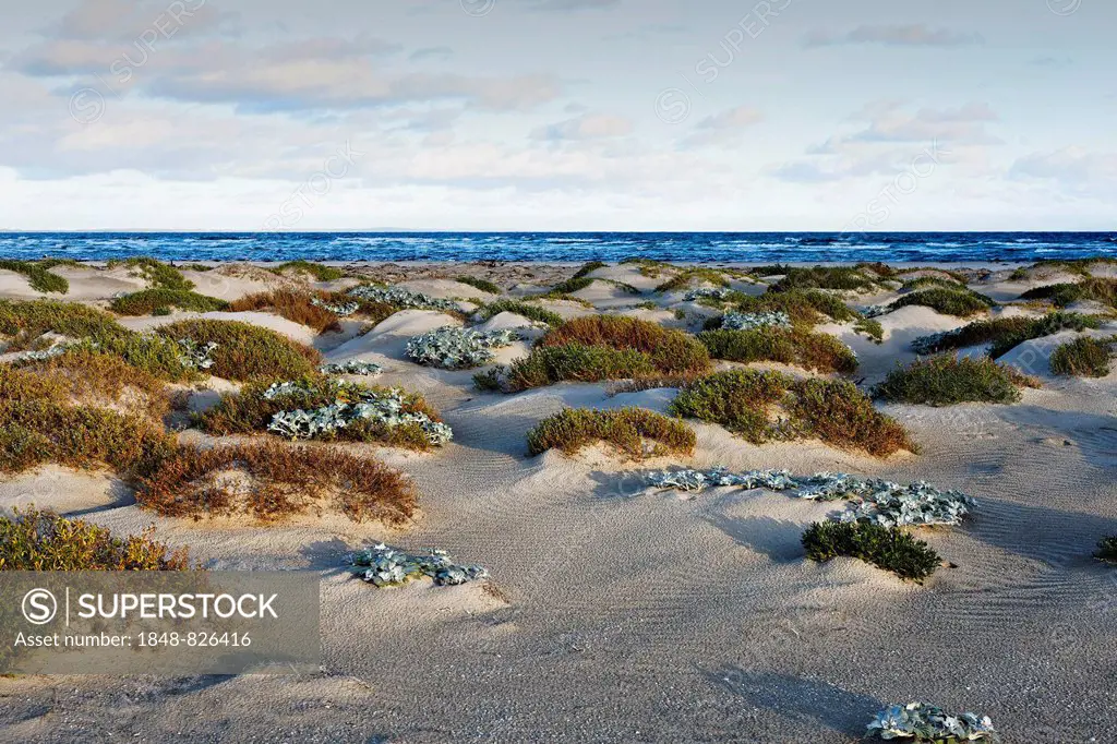 Coastal sand dunes, Augusta, Western Australia, Australia