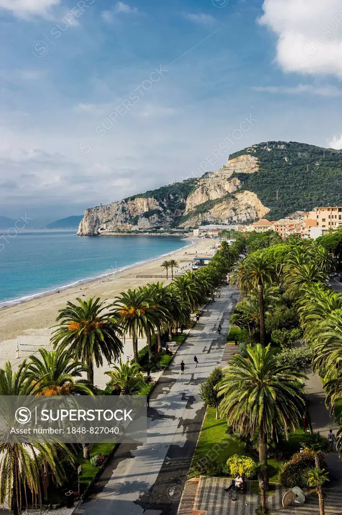 Palm avenue, beach promenade, Finale Ligure, Province of Savona, Liguria, Italy