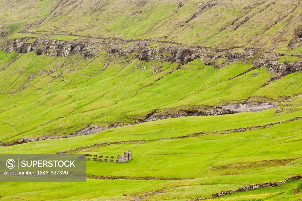 An abandoned farm amidst lush green pastures, near Torshavn, Faroe Islands, Denmark