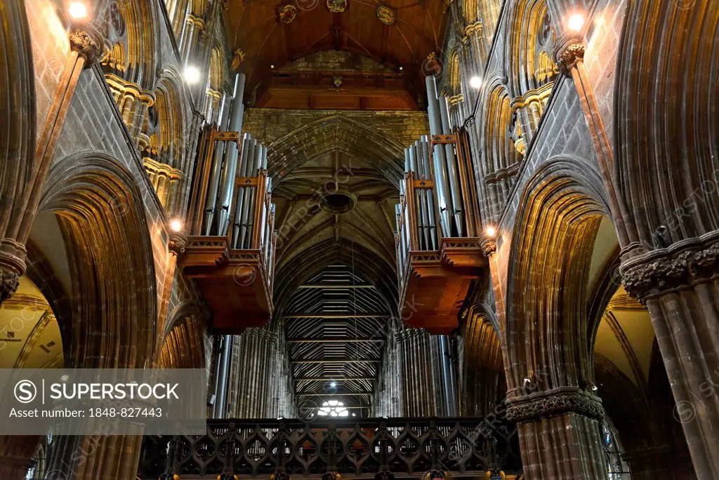 Interior with organ, St. Mungo's Cathedral, Glasgow, Scotland, United Kingdom