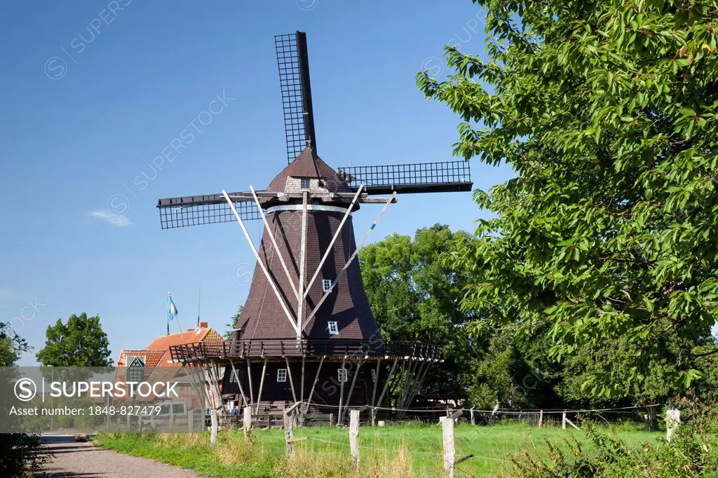 Jachen Flünk, old windmill, Windmill Museum, Lemkenhafen, Fehmarn, Schleswig-Holstein, Germany