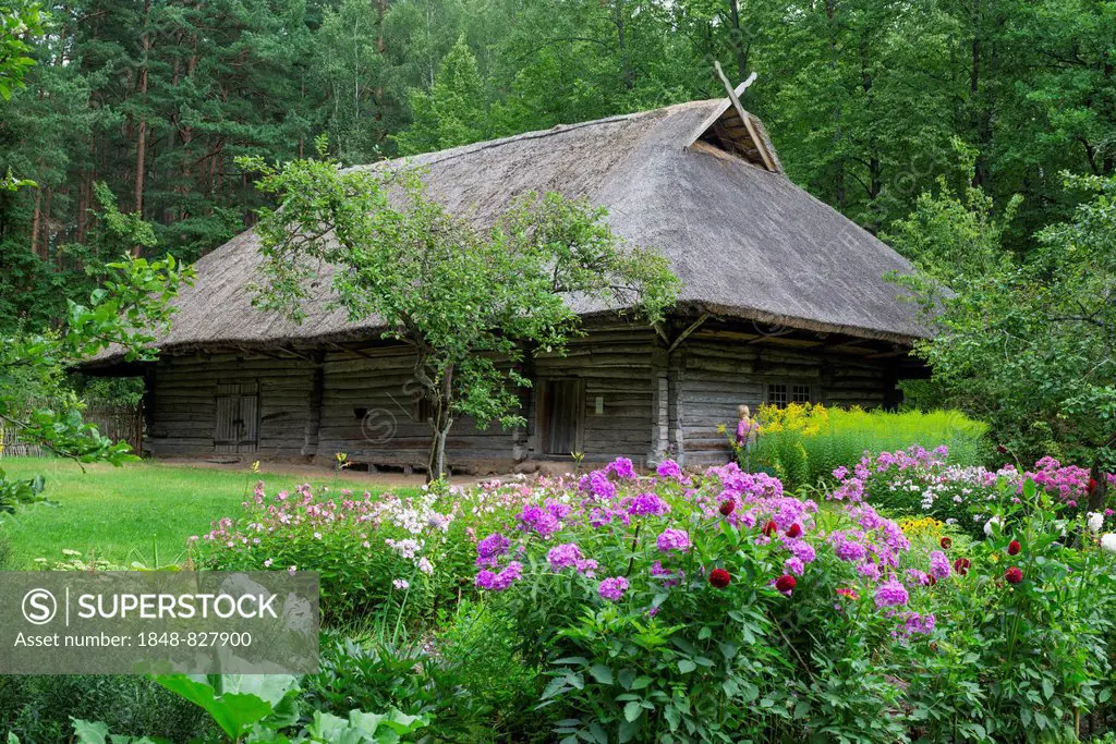 Farmhouse with a garden, open-air museum, Bergi, Riga, Rigas pilseta, Latvia