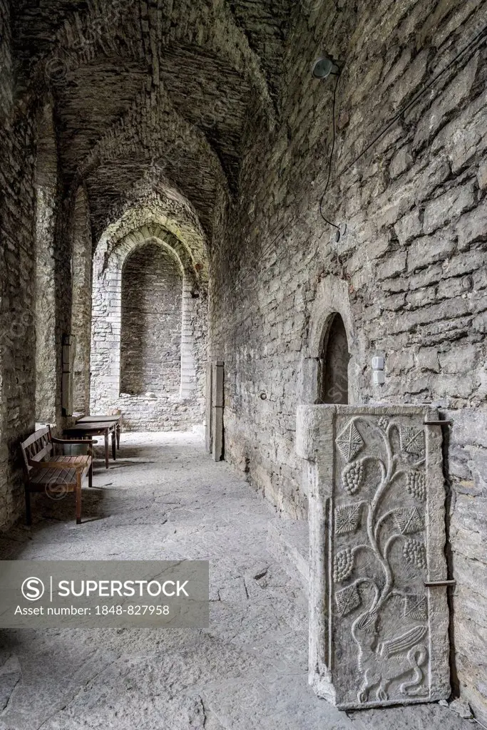 Dungeon of the former Dominican monastery with old grave stones, Vanalinn, Tallinn, Harju County, Estonia