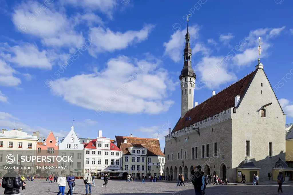 Town Hall Square, Vanalinn, Tallinn, Harju, Estonia