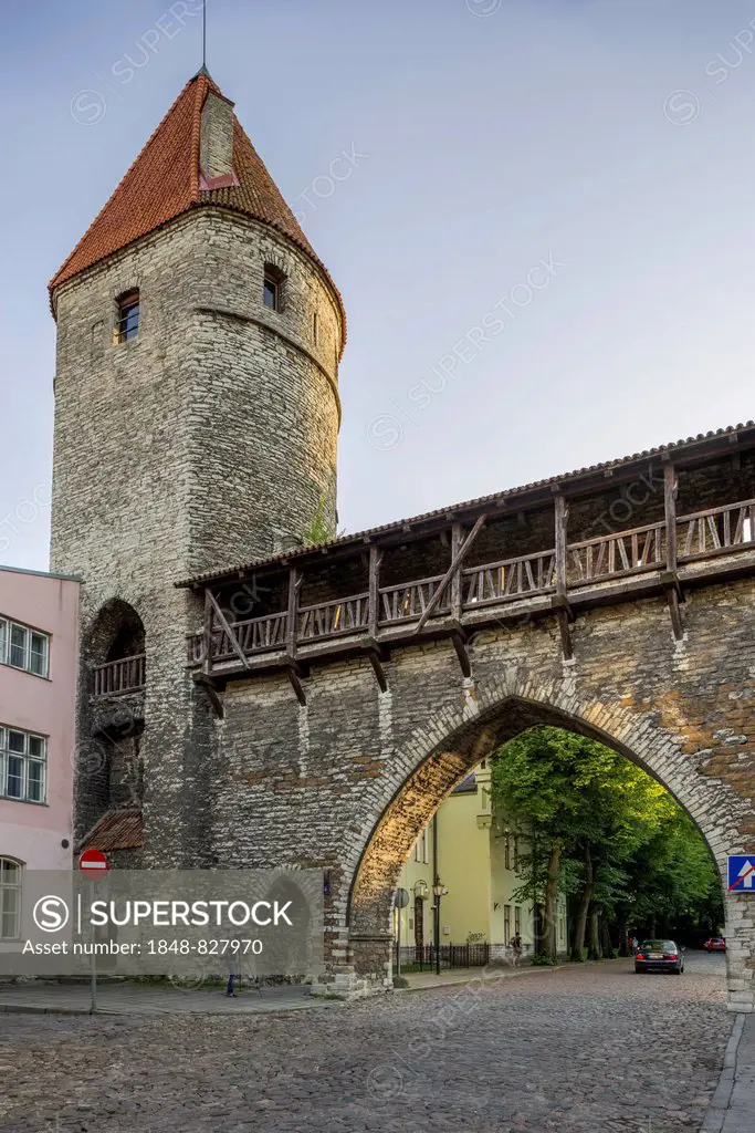 Part of the city wall with a defence tower and a gate, Vanalinn, Tallinn, Harju, Estonia