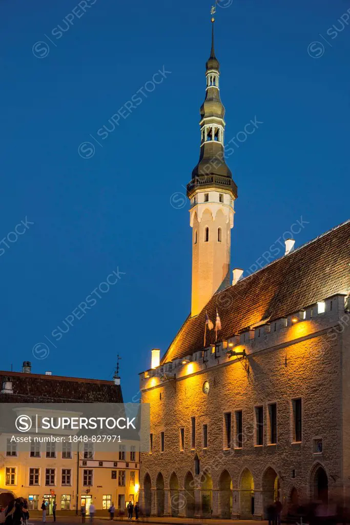 Town Hall in the evening, Vanalinn, Tallinn, Harju, Estonia