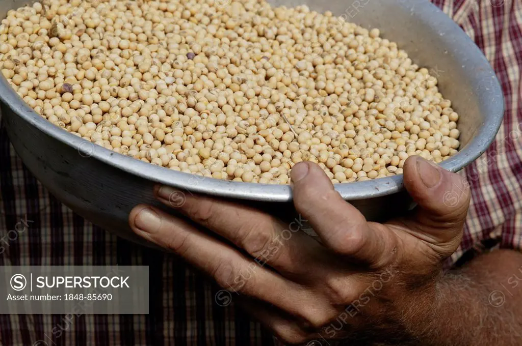 Soy beans genetically altered seed Paraguay South America