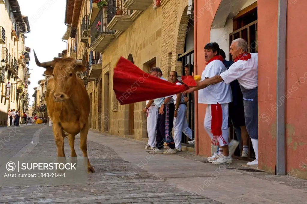 Fiesta and bull run in the streets of Puenta La Reina, Navarra, Spain