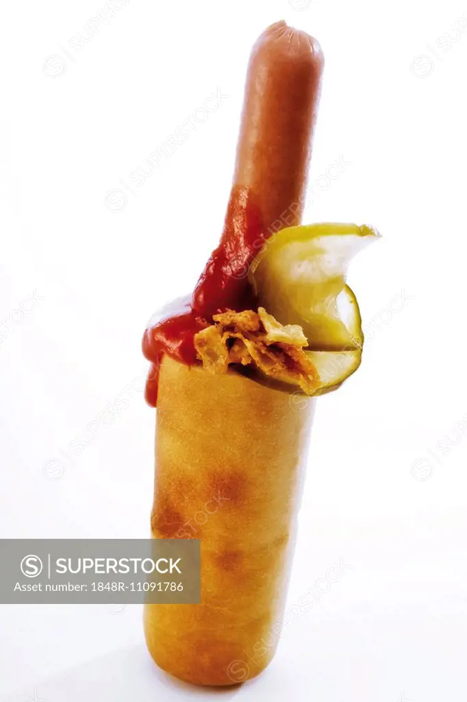 Hot dog with roasted onions, pickles and ketchup